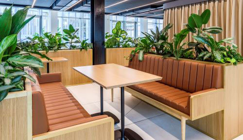 Photo report for Cider of their products and their disposition in space directly at their client’s premises.